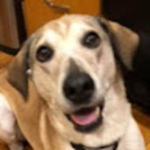 Meet your Posher, Kristi